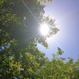 清晨的光（纯音乐）