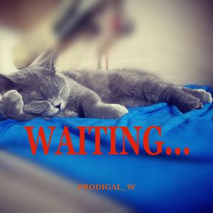 WAITING...