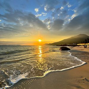 大风吹倒梧桐树