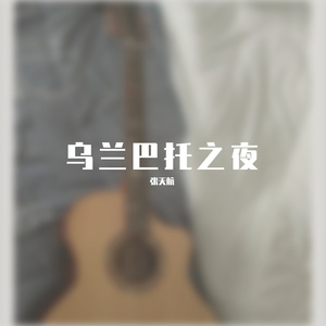 乌兰巴托的夜
