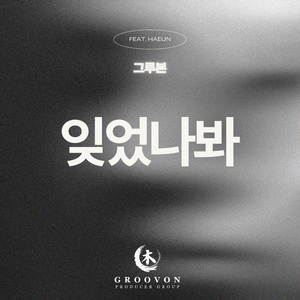 잊었나봐 (feat. Haeun)