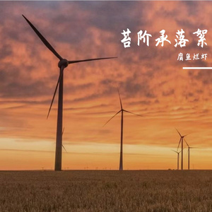 苔阶承落絮