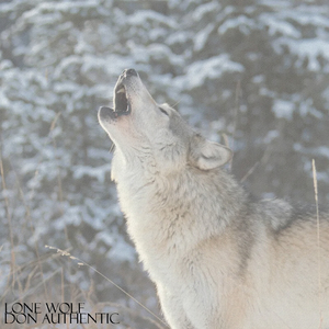 Lone Wolf