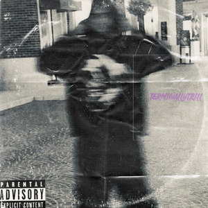 Per$pective (Bonus)