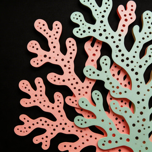 Coral