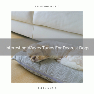 Interesting Waves Noises Especially For Our Dogs