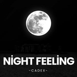 Night Feeling