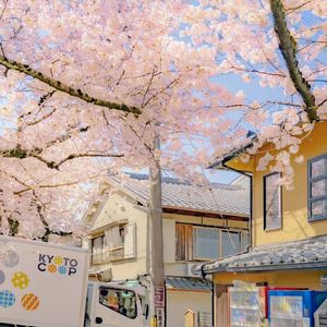 さくら〜あなたに出会えてよかった〜