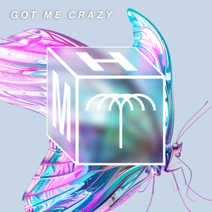 Got Me Crazy (Extended Mix)