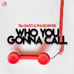Who You Gonna Call