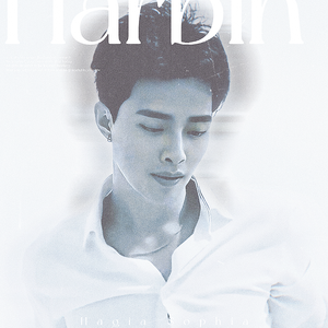 你似小花_王峰Dj版