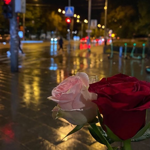 澪恩Seiwen-不分手的恋爱cover