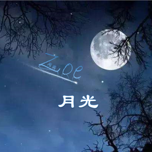 [免费]新说唱 × 60s（New Boombap Type Beat）