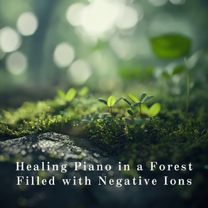 Echoes of Hidden Streams