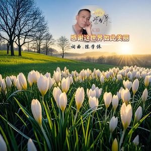 感谢这世界如此美丽