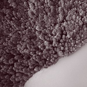 抚慰的宁静回忆