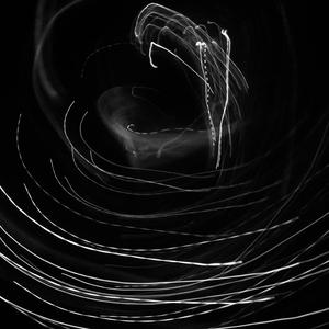 idontwannabeyouanymore（翻自 Billie Eilish）