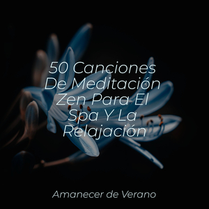 Cambiando Sombras Más Allá del Crepúsculo