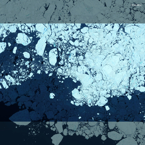 Xerography (Extended Mix)