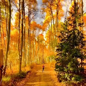 爱在秋天（钢琴独奏）