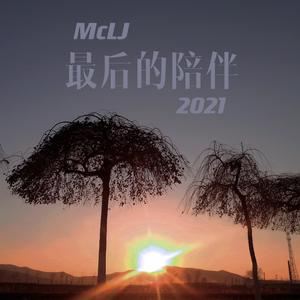 最后的陪伴2021