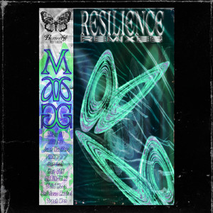 Resilience (ZARINOVAK Remix)