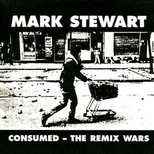 Original Mark Stewart And Adrian Sherwood Mix