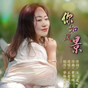 你如风景
