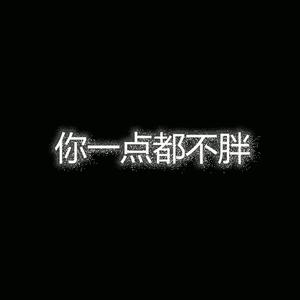 你一点都不胖remix
