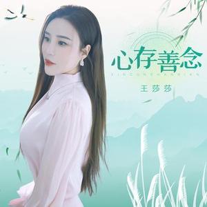 心存善念 (DJ何鹏版伴奏)