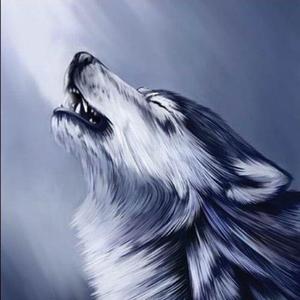 一程山路.Cover 毛不易