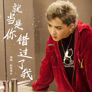 就当是你错过了我