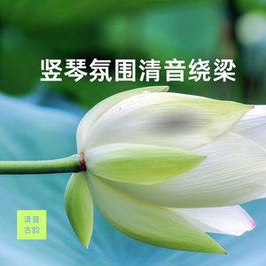 静心雅居 (书法)