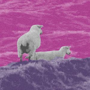 chapitre I - (Même Les moutons Regardent La Mer)