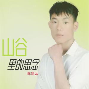 山谷里的思念_陈宗云.wav