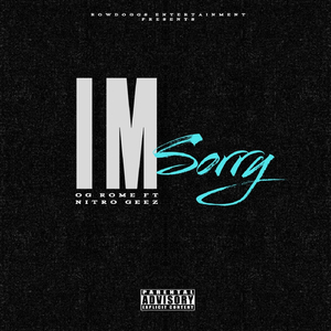 I'm Sorry (feat. Nitro Geez)