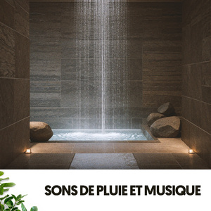 Sérénade des pluies crépusculaires