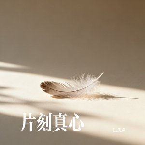 片刻真心1