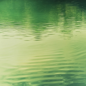 五脏调和｜金音（滋养润肺 调和肺气）