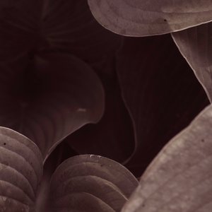 Returning The Favour