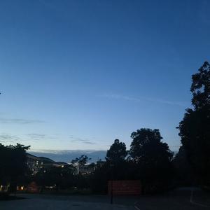 我的世界（Cover 鸟爷ToriSama）