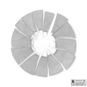 ROSE NOIR (feat. S-Dez)