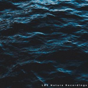 Calming Sounds Of The Sea