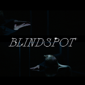 Blindspot