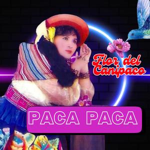 PACA PACA (feat. FLOR DEL CANIPACO)