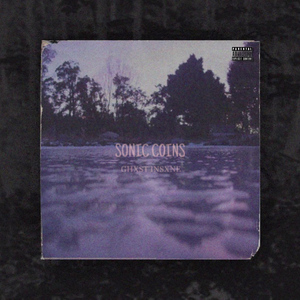 SONIC COINS