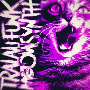 TRALALI FUNK MEOWSYNTH