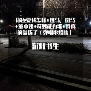 你还要我怎样+斑马，斑马+董小姐+奇妙能力歌+我真的受伤了（弹唱串烧伴奏版）