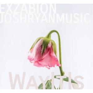 WayItIs (feat. Exzabion)