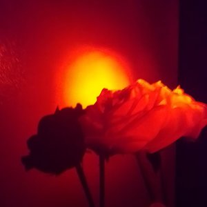 【FREE BEAT】末路